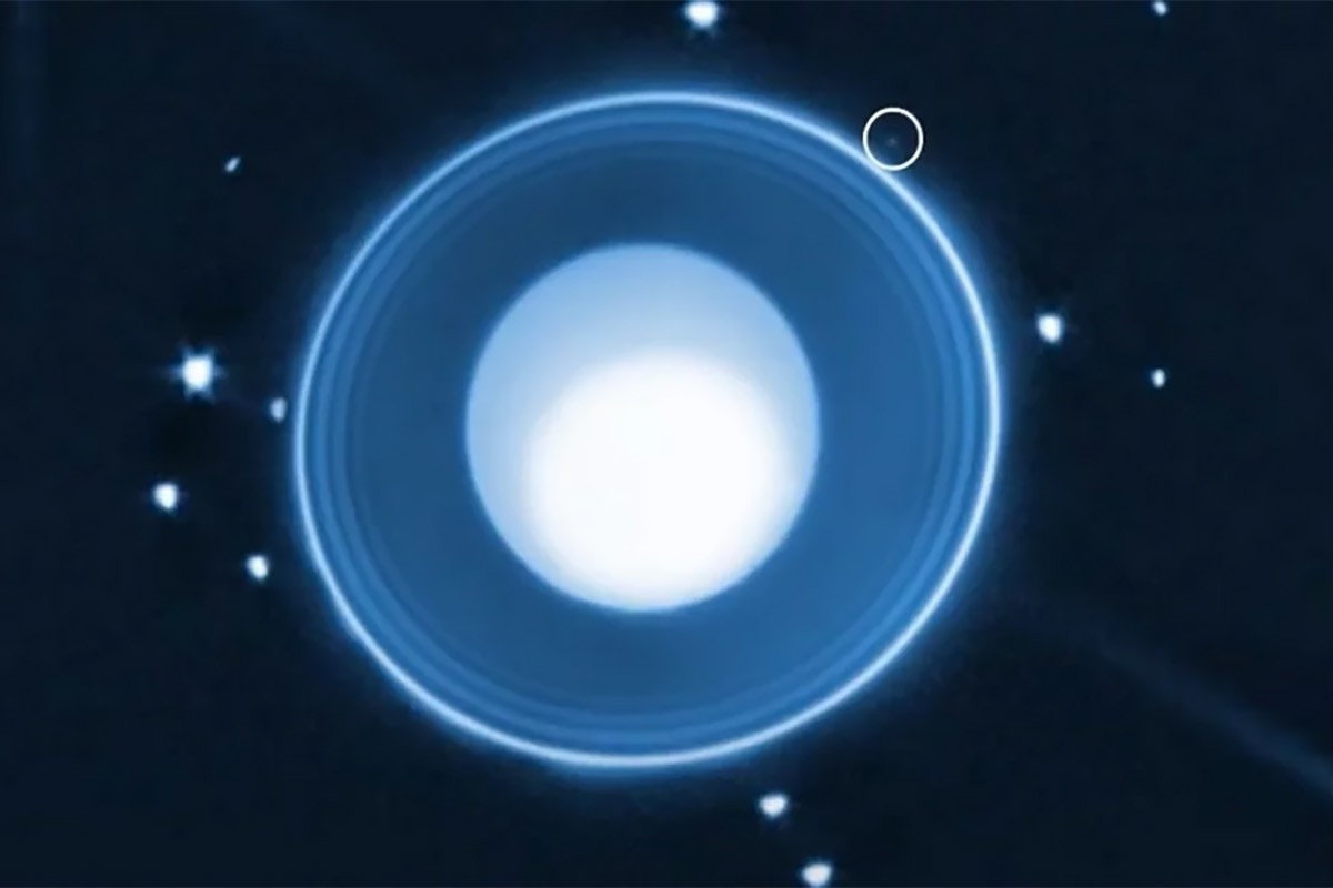 নতুন চাঁদ আবিষ্কার করলেন নাসার জেমস ওয়েব