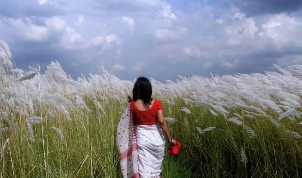 ঋতুর রানি শরৎ: স্নিগ্ধতার অপরূপ সমাহার 3 ঋতুর রানি শরৎ স্নিগ্ধতার অপরূপ সমাহার 1755343419 ঋতুর রানি শরৎ: স্নিগ্ধতার অপরূপ সমাহার