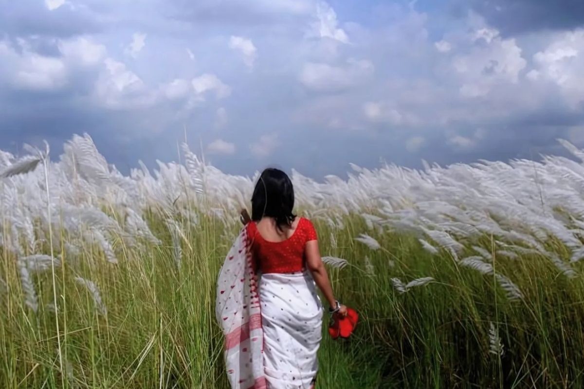 ঋতুর রানি শরৎ: স্নিগ্ধতার অপরূপ সমাহার