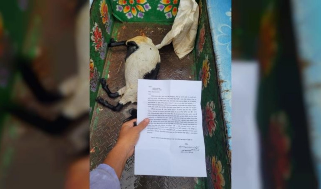 গাছের পাতা খাওয়ার ‘অপরাধে’ ছাগলকে রামদা দিয়ে কুপিয়ে হত্যা 4 গাছের পাতা খাওয়ার ‘অপরাধে ছাগলকে রামদা দিয়ে কুপিয়ে হত্যা 1755181935 গাছের পাতা খাওয়ার ‘অপরাধে’ ছাগলকে রামদা দিয়ে কুপিয়ে হত্যা