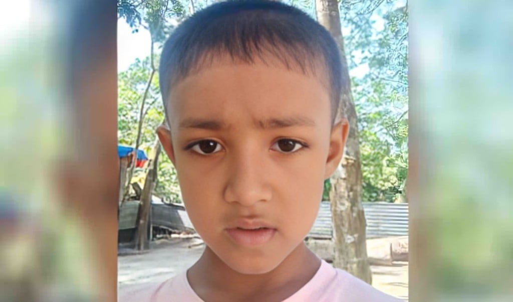 ঘরের গর্তে লুকিয়ে থাকা সাপের কামড়ে শিশুর মৃত্যু 1756107439 খাটের নিচে গর্তে লুকানো সাপের কামড়ে শিশুর মৃত্যু