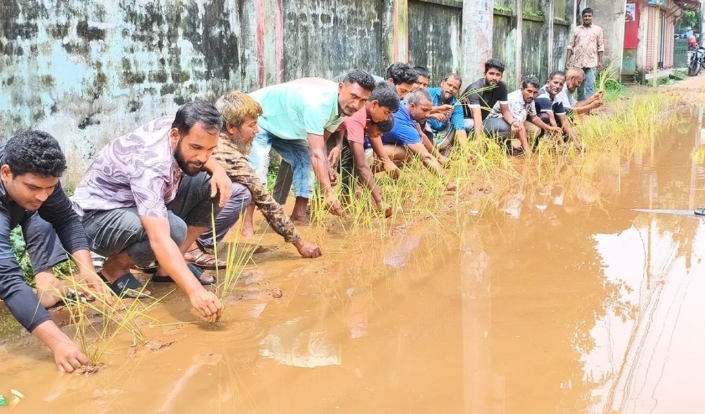 চলাচল অযোগ্য সড়কে ধান চাষ, সংস্কারের দাবিতে এলাকাবাসীর অভিনব প্রতিবাদ 4 চলাচল অযোগ্য সড়কে ধান চাষ সংস্কারের দাবিতে এলাকাবাসীর অভিনব প্রতিবাদ 1754835900 চলাচল অযোগ্য সড়কে ধান চাষ, সংস্কারের দাবিতে এলাকাবাসীর অভিনব প্রতিবাদ