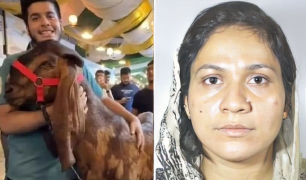 ছাগল কান্ডের মতিউরের ২য় স্ত্রী ও মেয়েকে ফেরাতে ইন্টারপোলে আবেদন 1755920358 ছাগলকাণ্ডের মতিউরের দ্বিতীয় স্ত্রী ও মেয়েকে ফেরাতে ইন্টারপোলে আবেদন