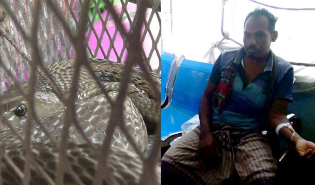 ছোবল দেওয়া সাপ হাতে নিয়ে হাসপাতালে হাজির রোগী 3 ছোবল দেওয়া সাপ হাতে নিয়ে হাসপাতালে হাজির রোগী 1755174668 ছোবল দেওয়া সাপ হাতে নিয়ে হাসপাতালে হাজির রোগী