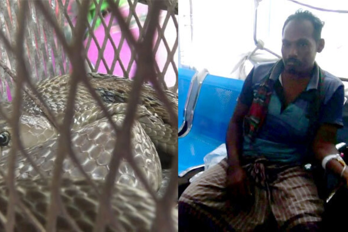 ছোবল দেওয়া সাপ হাতে নিয়ে হাসপাতালে হাজির রোগী