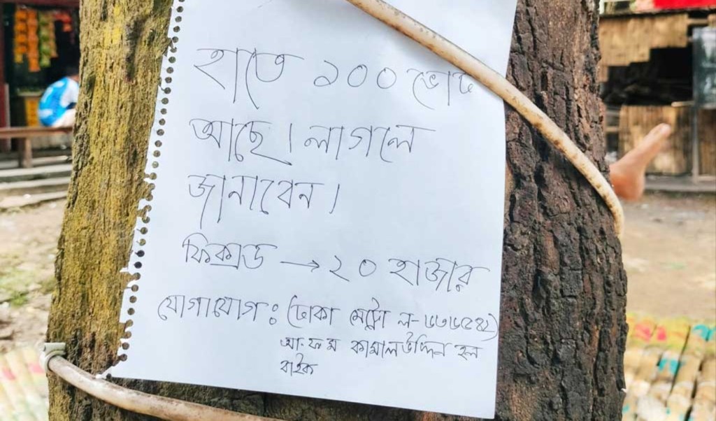 জাকসু নির্বাচনে ১০০ ভোটের দাম ২০ হাজার টাকা! 4 জাকসুতে ১০০ ভোটের দাম ২০ হাজার টাকা 1756471572 জাকসু নির্বাচনে ১০০ ভোটের দাম ২০ হাজার টাকা!