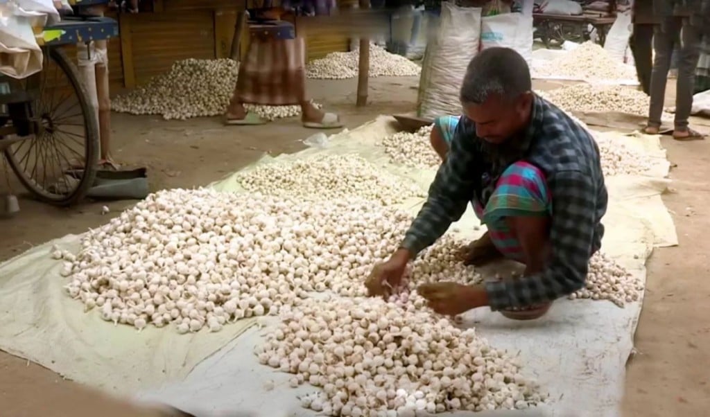 জিআই পণ্যের স্বীকৃতি চায় চলনবিলের ‘সাদা সোনা 1756195538 জিআই পণ্যের স্বীকৃতি চায় চলনবিলের ‘সাদা সোনা’