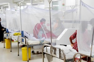 দেশে ডেঙ্গুতে মৃত্যু ১০০ ছাড়াল, হাসপাতালে ভর্তি রোগী ২৪ হাজার