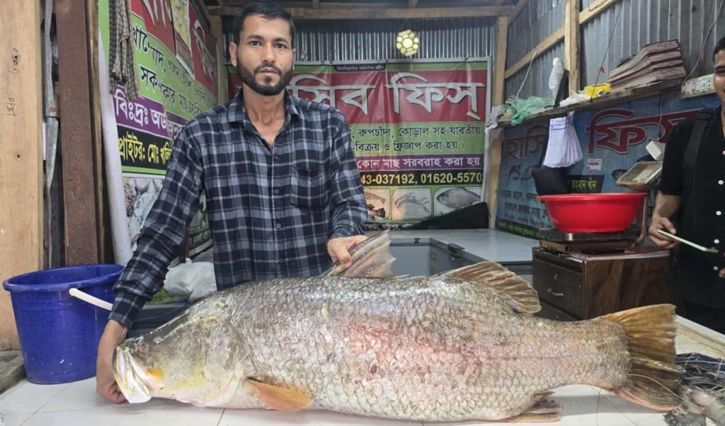 জেলের জালে ধরা ২২ কেজির কোরাল, বিক্রি হলো ৩৪ হাজার টাকায় 4 জেলের জালে ধরা ২২ কেজির কোরাল বিক্রি হলো ৩৪ হাজার টাকায় 1755348447 জেলের জালে ধরা ২২ কেজির কোরাল, বিক্রি হলো ৩৪ হাজার টাকায়