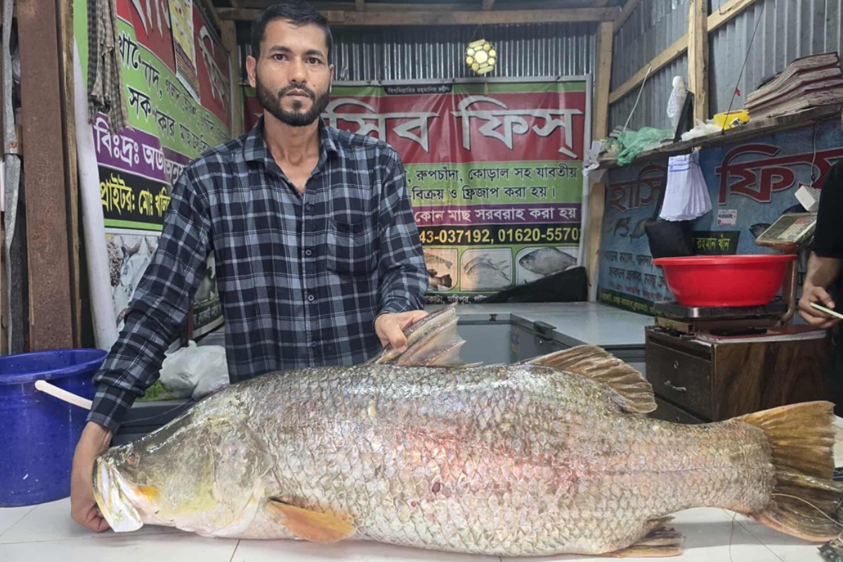 জেলের জালে ধরা ২২ কেজির কোরাল, বিক্রি হলো ৩৪ হাজার টাকায়