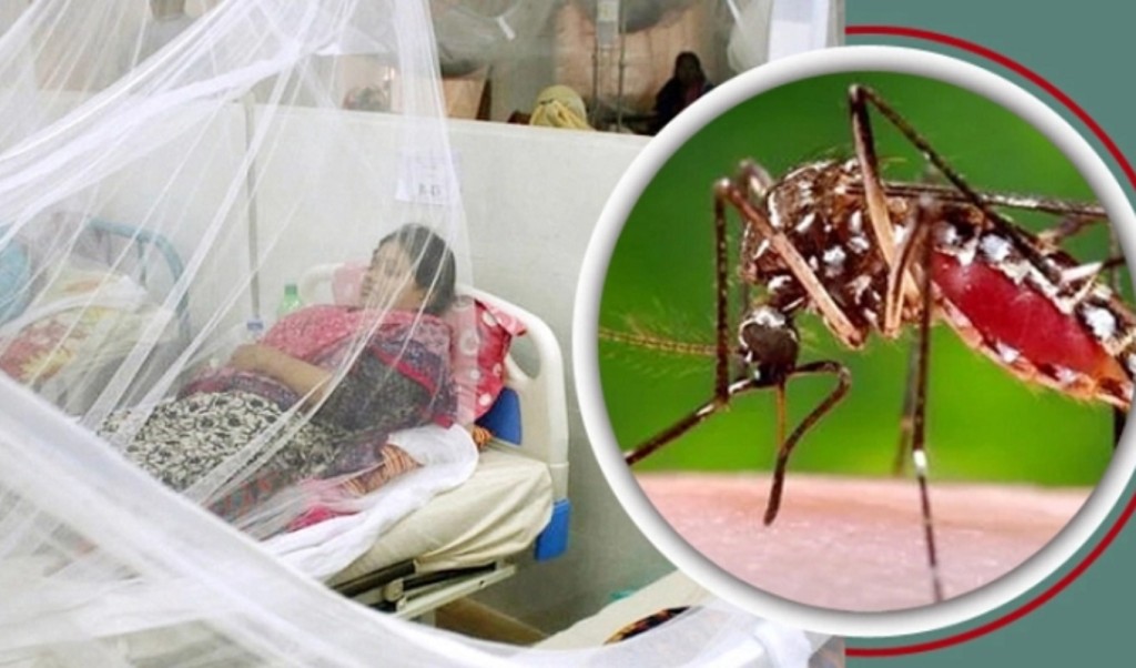 ২৪ ঘণ্টায় ডেঙ্গুতে ৩ জনের মৃত্যু, হাসপাতালে ৪২৮ 4 ডেঙ্গুতে জুলাই মাসেই মৃত্যু ৪১ জনের চলতি বছরে মোট প্রাণহানি ৮৩ 1753969545 ২৪ ঘণ্টায় ডেঙ্গুতে ৩ জনের মৃত্যু, হাসপাতালে ৪২৮