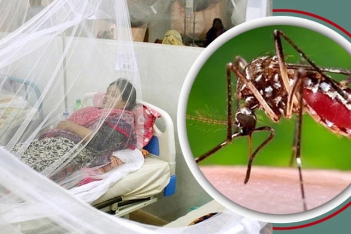 ২৪ ঘণ্টায় ডেঙ্গুতে ৩ জনের মৃত্যু, হাসপাতালে ৪২৮