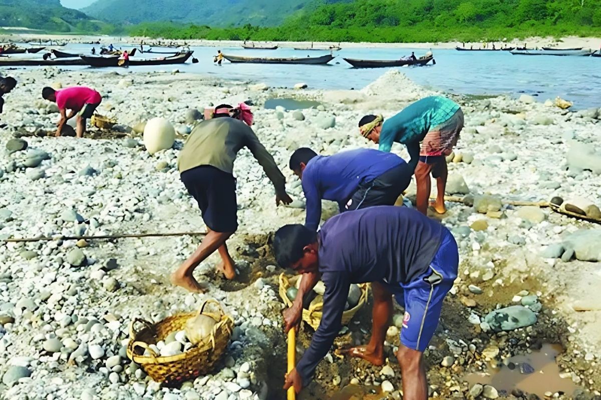 সাদা পাথর নজিরবিহীন লুটপাটের পর তদন্ত কমিটি করলো জেলা প্রশাসন