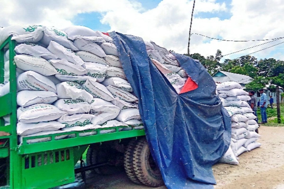 তাড়াইলে ৩০০ বস্তা টিএসপি সার জব্দ