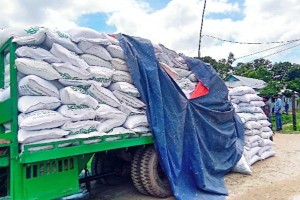 তাড়াইলে ৩০০ বস্তা টিএসপি সার জব্দ