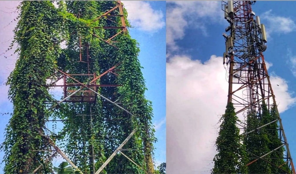নেটওয়ার্ক 1754980219 খাগড়াছড়িতে নেটওয়ার্ক ও ইন্টারনেট সেবায় চরম বিপর্যয়
