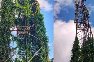 খাগড়াছড়িতে নেটওয়ার্ক ও ইন্টারনেট সেবায় চরম বিপর্যয়