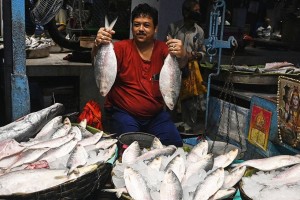 পশ্চিমবঙ্গের চেয়ে বাংলাদেশে ইলিশের দাম বেশি