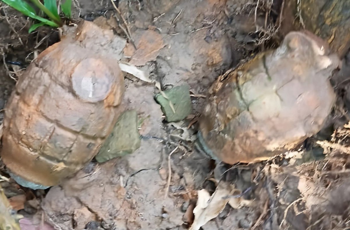 ফেনীতে গাছের গোড়া থেকে দুই গ্রেনেড উদ্ধার