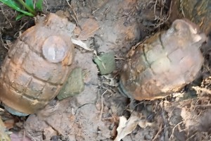 ফেনীতে গাছের গোড়া থেকে দুই গ্রেনেড উদ্ধার