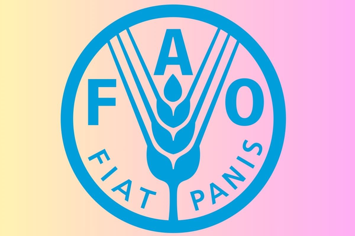 বিশ্বের তীব্র খাদ্যসংকটে থাকা দেশের তালিকায় বাংলাদেশের অবস্থান চতুর্থ