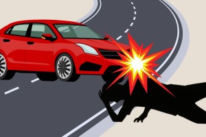 বাগেরহাটে প্রাইভেটকারের ধাক্কায় প্রাণ গেলো পথচারীর, চালক আটক