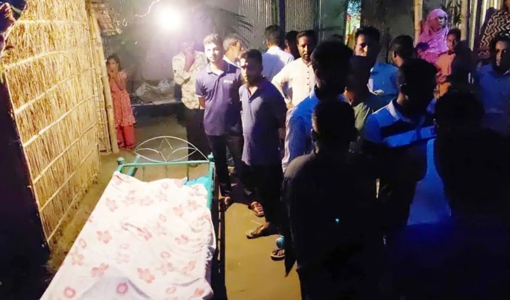 বিলে শাপলা তুলতে গিয়ে দুই শিশুর মৃত্যু 1756525762 বিলে শাপলা তুলতে গিয়ে দুই শিশুর মৃত্যু