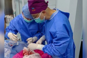 বিশ্বে প্রথমবারের মতো মানবদেহে শূকরের ফুসফুস প্রতিস্থাপন