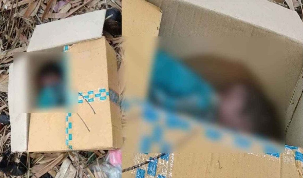 ময়লার স্তূপে ‘কার্টনবন্দী’ নবজাতকের লাশ 3 ময়লার স্তূপে ‘কার্টন বন্ধী নবজাতকের লাশ 1755606709 ময়লার স্তূপে ‘কার্টনবন্দী’ নবজাতকের লাশ
