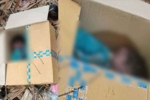 ময়লার স্তূপে ‘কার্টনবন্দী’ নবজাতকের লাশ