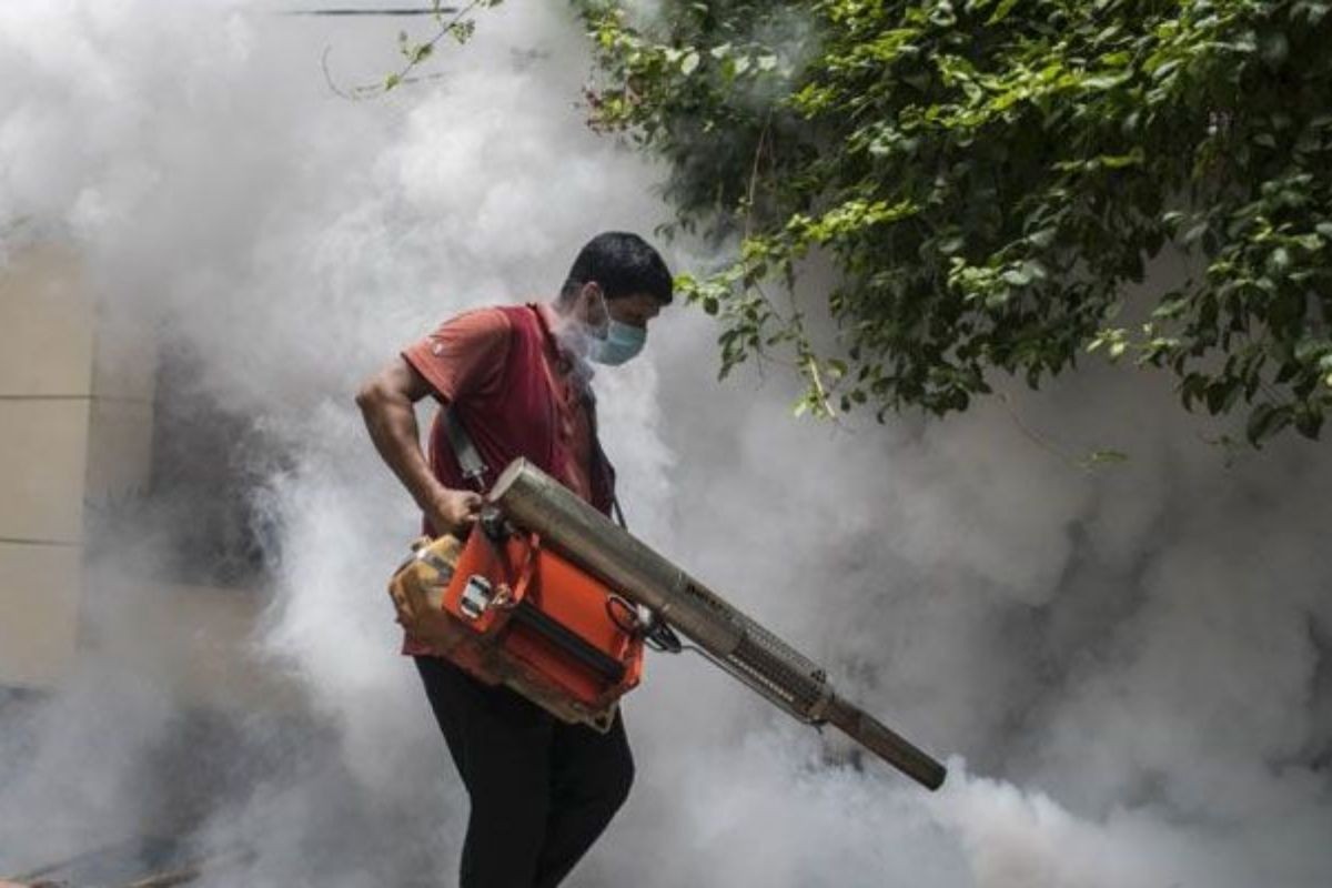 মশা মারতে দক্ষিণ সিটির বাজেট ৪৫ কোটি টাকা
