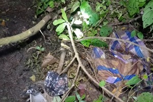 খুলনায় একটি বাগান থেকে ‘নিখোঁজ যুবকের’ খণ্ডিত লাশ  উদ্ধার