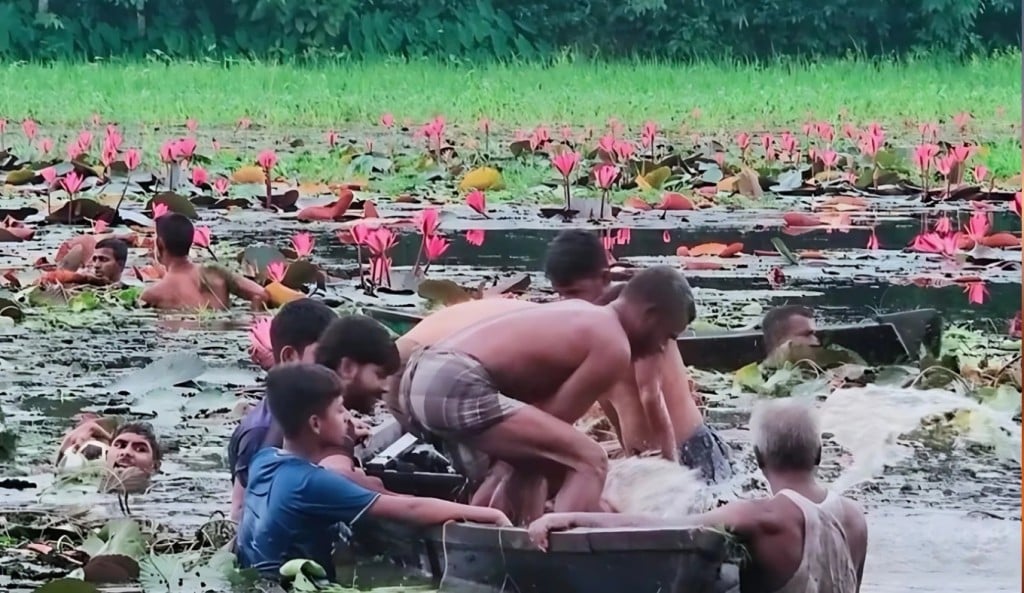 শাপলা বিলে নৌকাডুবিতে প্রাণ গেলো দুই বন্ধুর 1754035312 শাপলা বিলে নৌকাডুবিতে প্রাণ গেলো দুই বন্ধুর