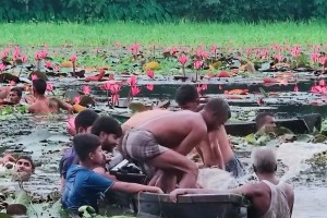 শাপলা বিলে নৌকাডুবিতে প্রাণ গেলো দুই বন্ধুর