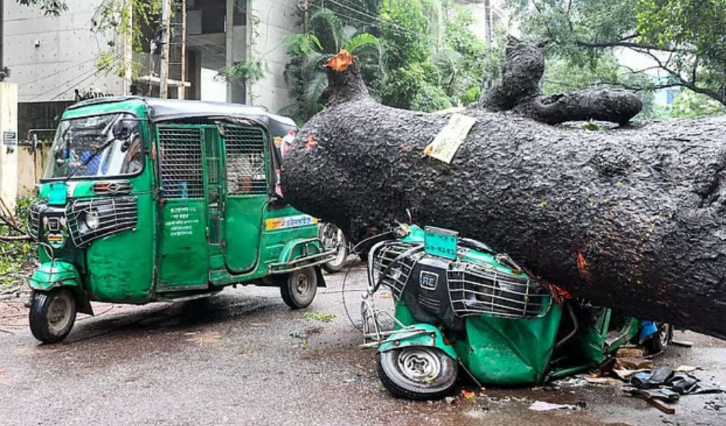 সড়কে পড়ল বিরাট গাছ, দুমড়েমুচড়ে গেল গাড়ি 4 সড়কে পড়ল বিরাট গাছ দুমড়েমুচড়ে গেল গাড়ি 1754063105 সড়কে পড়ল বিরাট গাছ, দুমড়েমুচড়ে গেল গাড়ি