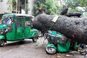 সড়কে পড়ল বিরাট গাছ, দুমড়েমুচড়ে গেল গাড়ি