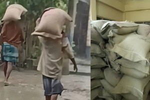 সরকারি চাল ছিনিয়ে নেয়ার অভিযোগ বিএনপি নেতা-কর্মীদের বিরুদ্ধে