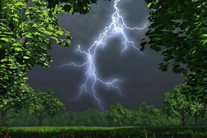 সিরাজগঞ্জে বজ্রপাতে প্রাণ গেলো কৃষকের