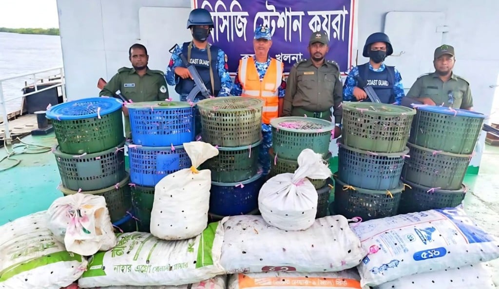 সুন্দরবনে বিশেষ অভিযানে ৮৫০ কেজি কাঁকড়া জব্দ 1756186477 সুন্দরবনে বিশেষ অভিযানে ৮৫০ কেজি কাঁকড়া জব্দ