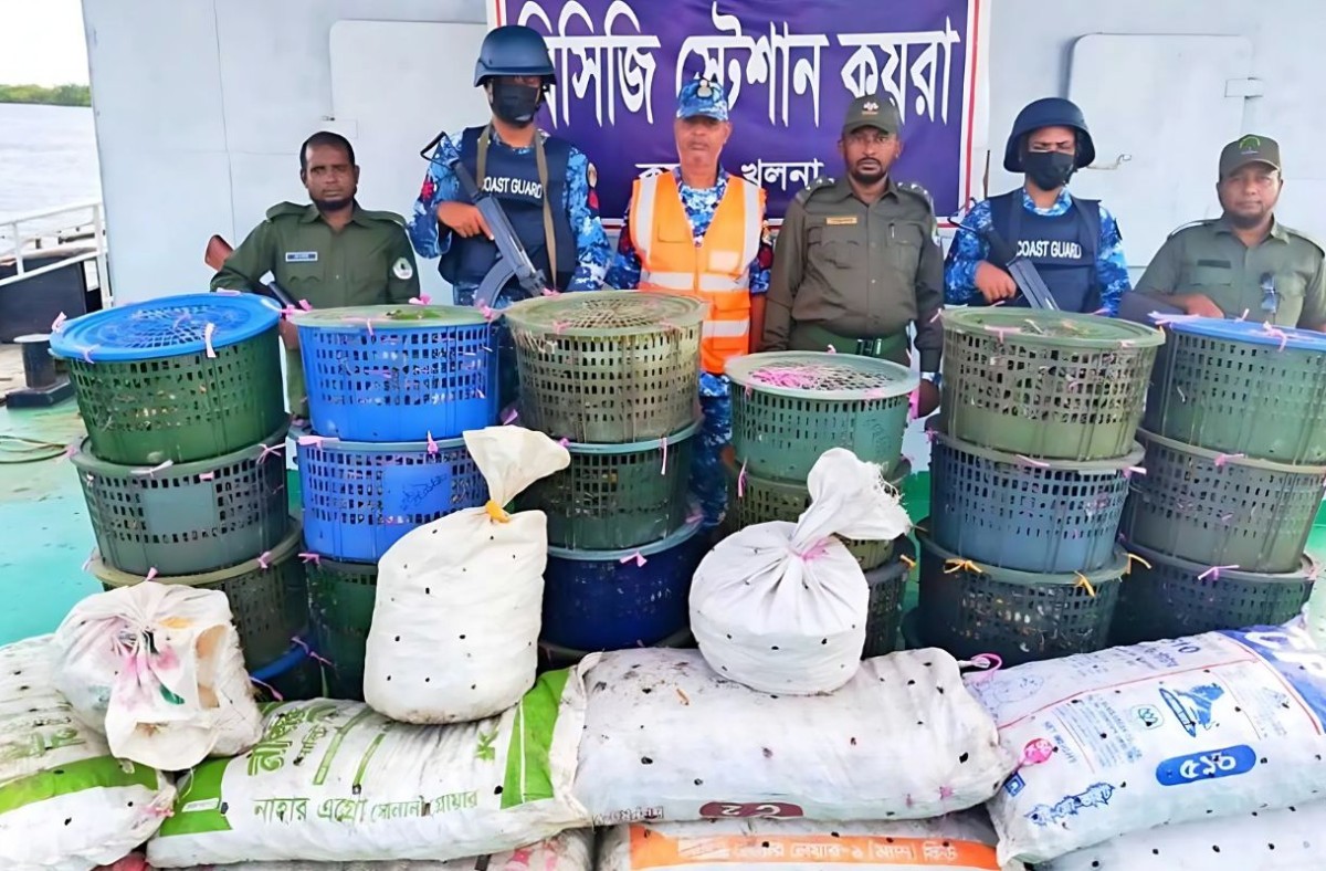 সুন্দরবনে বিশেষ অভিযানে ৮৫০ কেজি কাঁকড়া জব্দ