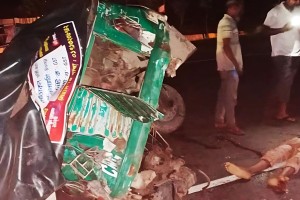 বগুড়ায় অটোরিকশায় বাসের ধাক্কা, ২ ভাইয়ের মৃত্যু