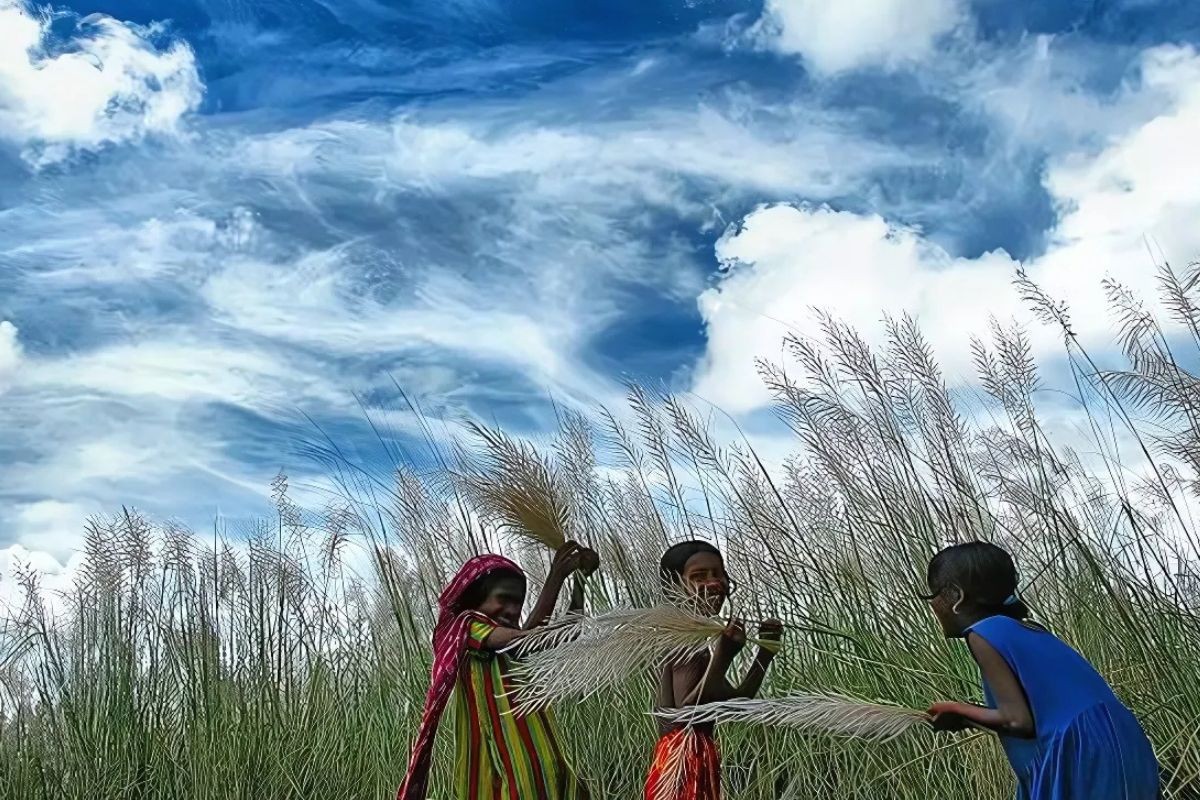 সাদা মেঘের ভেলায় ভেসে শরতের আগমন, আজ ১লা ভাদ্র