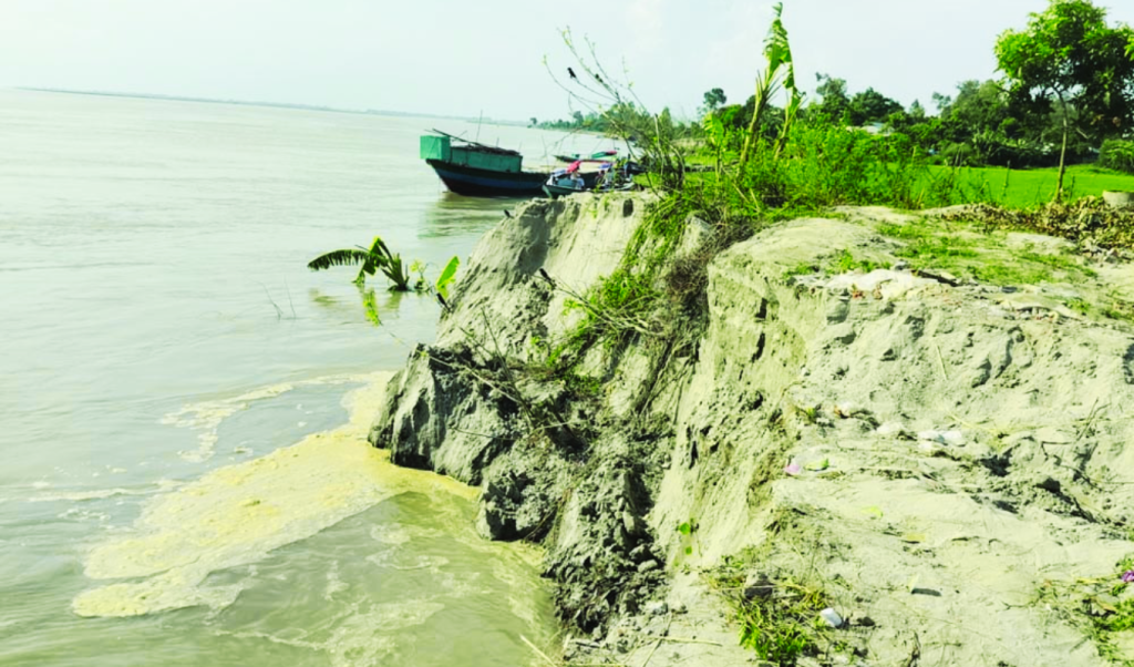 যমুনায় তীব্র ভাঙন: দুই সপ্তাহে শতাধিক বসতবাড়ি ও ফসলি জমি নদীগর্ভে 4 Add a subheading 11 1757101659 যমুনায় তীব্র ভাঙন: দুই সপ্তাহে শতাধিক বসতবাড়ি ও ফসলি জমি নদীগর্ভে