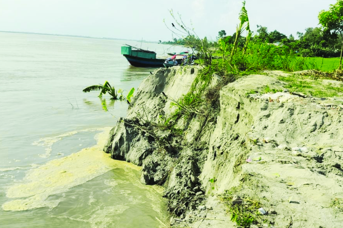 যমুনায় তীব্র ভাঙন: দুই সপ্তাহে শতাধিক বসতবাড়ি ও ফসলি জমি নদীগর্ভে
