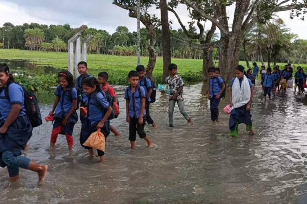 জলাবদ্ধতায় নাকাল নাটোরের জোতগৌরী প্রাথমিক বিদ্যালয়
