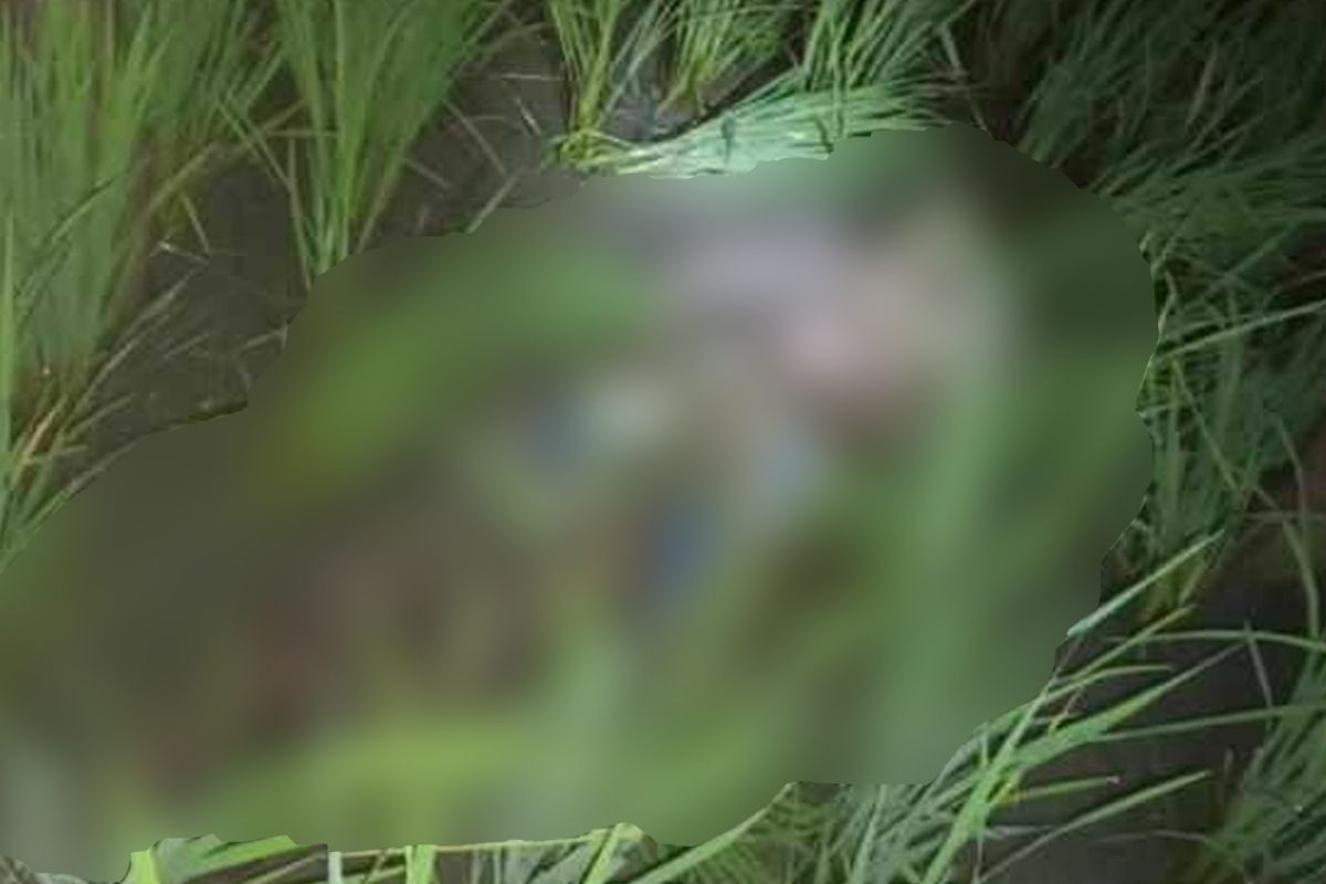 ইঁদুর মারার বৈদ্যুতিক ফাঁদে প্রাণ গেলো কৃষকের