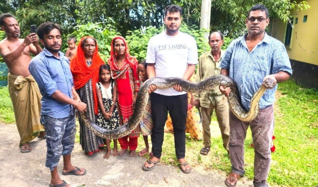 ইটের দেয়াল থেকে ১৪ ফুট লম্বা অজগর উদ্ধার 3 ইটের দেয়াল থেকে ১৪ ফুট লম্বা অজগর উদ্ধার 1758637161 ইটের দেয়াল থেকে ১৪ ফুট লম্বা অজগর উদ্ধার