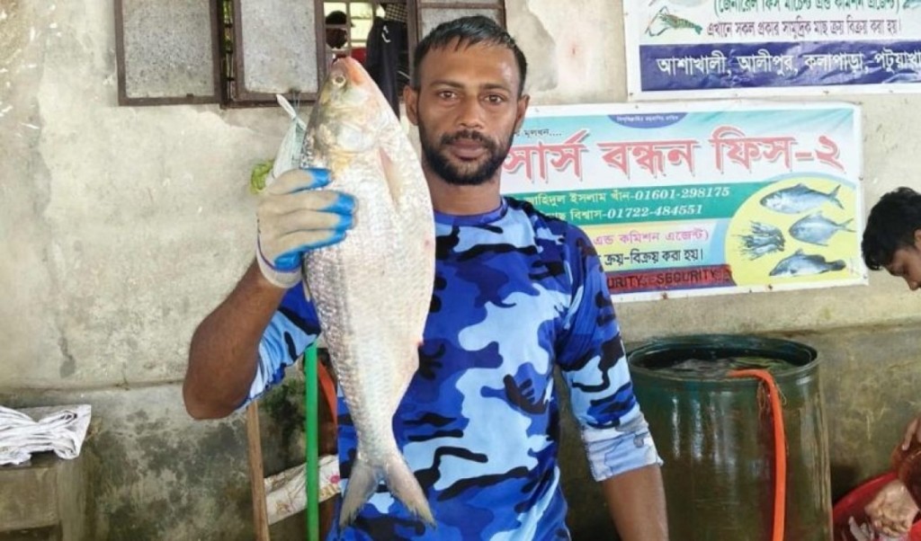 এক ইলিশের দাম সাড়ে ৬ হাজার টাকা! 3 এক ইলিশের দাম সাড়ে ৬ হাজার টাকা 1758361084 এক ইলিশের দাম সাড়ে ৬ হাজার টাকা!