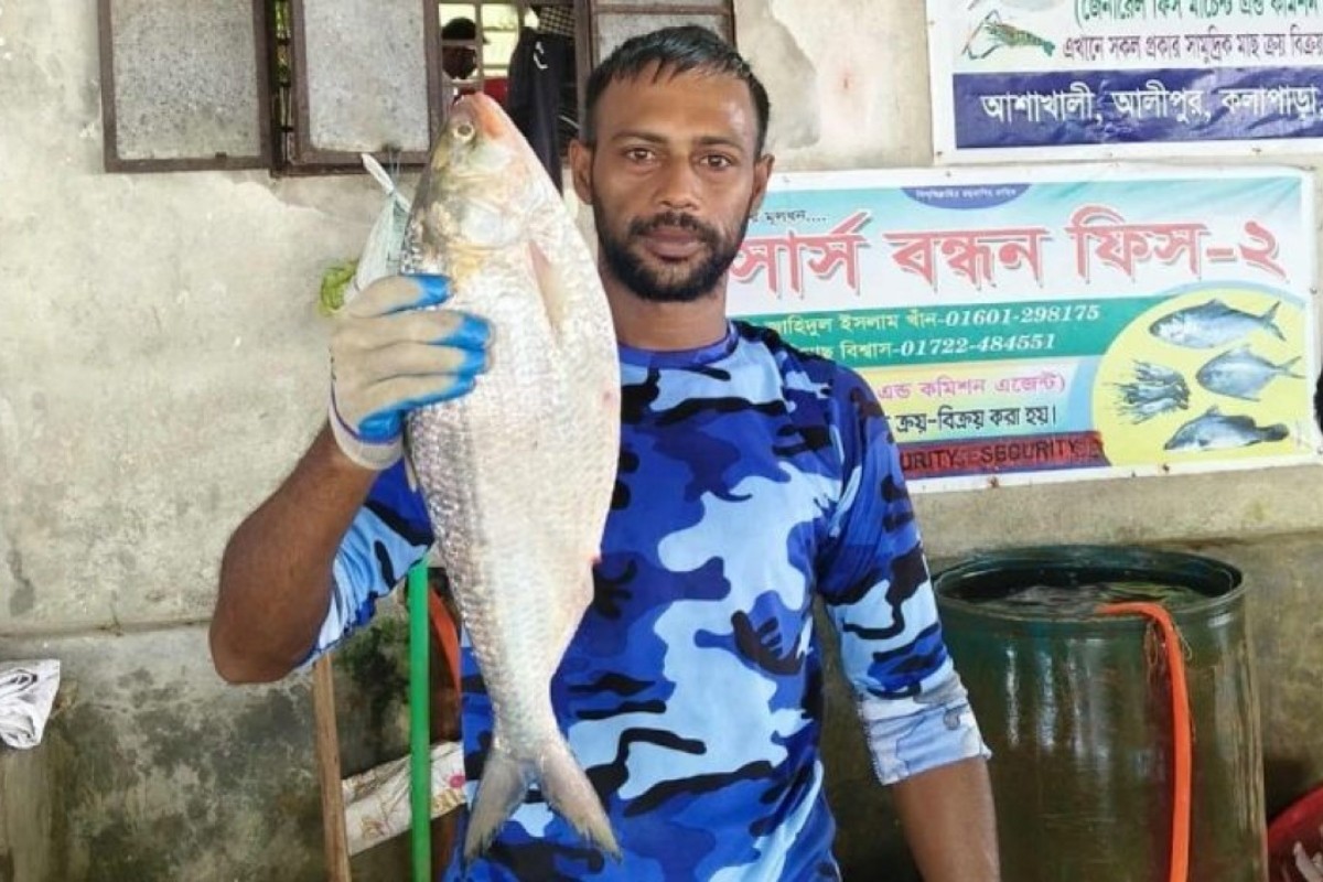 এক ইলিশের দাম সাড়ে ৬ হাজার টাকা!