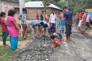 একদিন না যেতেই উঠে যাচ্ছে নতুন রাস্তার পিচ!